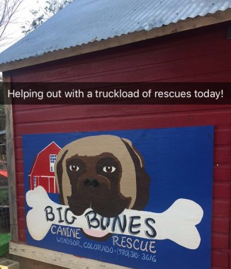 Big Bones Rescue Sign