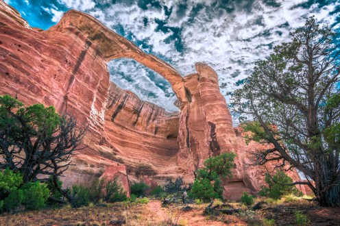 Rattlesnake Arches - Spoke and Blossom 2