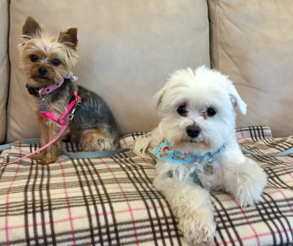 File Jan 19, 3 17 50 PM