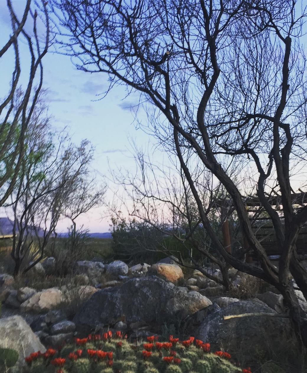 29792890_10160184700830331_7787486696534179840_o