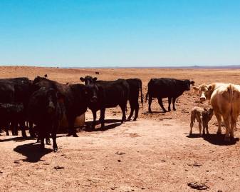 31326826_10160253578965331_6311130317470040064_n